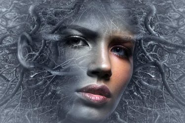 fantasy, face, branches-3317298.jpg
